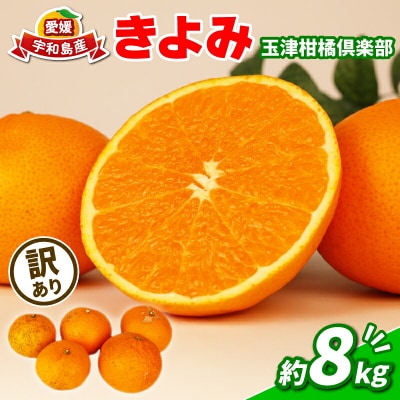 訳あり きよみ 8kg 玉津柑橘倶楽部 B010-072033