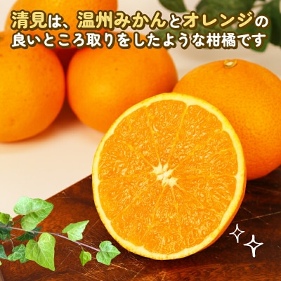 訳あり きよみ 8kg 玉津柑橘倶楽部 B010-072033