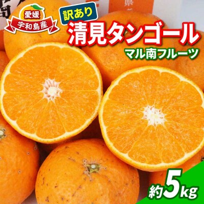 訳あり 清見タンゴール 5kg マル南フルーツ B010-106024