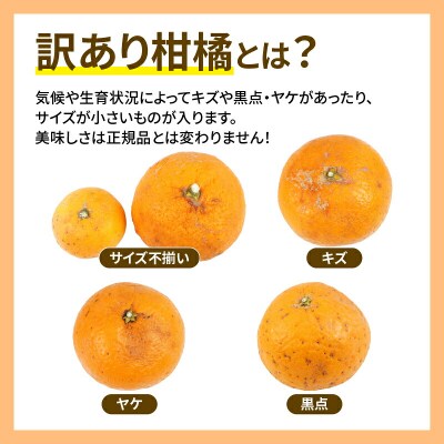 訳あり 清見タンゴール 5kg マル南フルーツ B010-106024