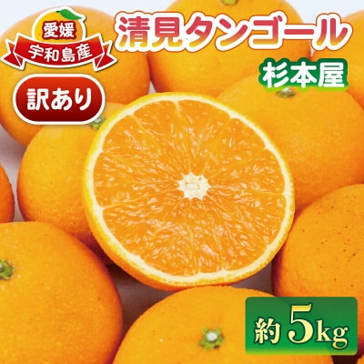 訳あり 清見タンゴール 5kg 杉本屋 B010-143011