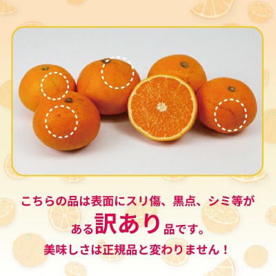 訳あり 清見タンゴール 5kg 杉本屋 B010-143011