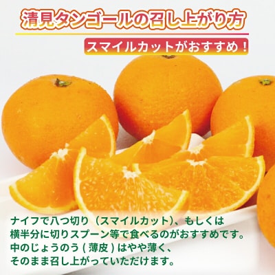 訳あり 清見タンゴール 5kg 杉本屋 B010-143011