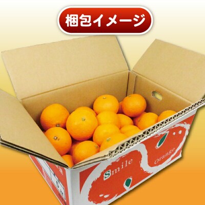 訳あり 清見タンゴール 5kg 杉本屋 B010-143011