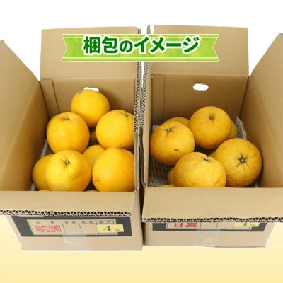 河内晩柑4kgと甘夏4kgのセット ワールドファーマーズ B012-024009