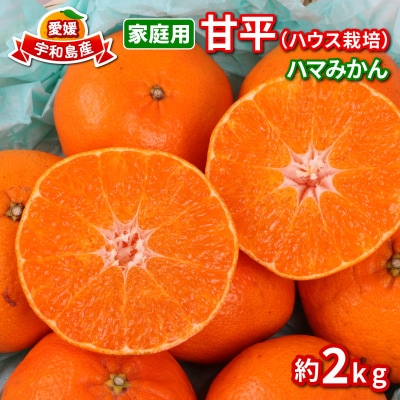 宇和島市津島町産 家庭用 甘平 2kg(ハウス栽培) ハマみかん B012-075002