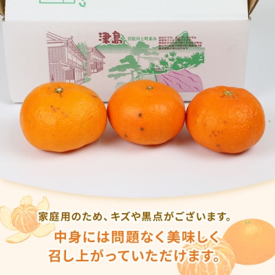 宇和島市津島町産 家庭用 甘平 2kg(ハウス栽培) ハマみかん B012-075002