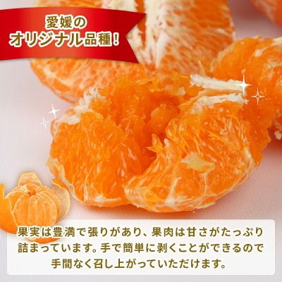 宇和島市津島町産 家庭用 甘平 2kg(ハウス栽培) ハマみかん B012-075002
