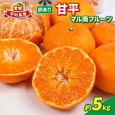 訳あり 甘平 5kg マル南フルーツ B012-106021