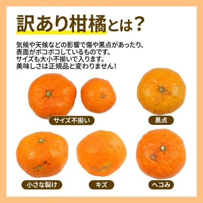訳あり 甘平 5kg マル南フルーツ B012-106021