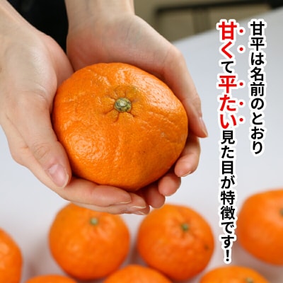訳あり 甘平 5kg マル南フルーツ B012-106021