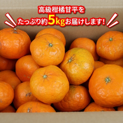 訳あり 甘平 5kg マル南フルーツ B012-106021