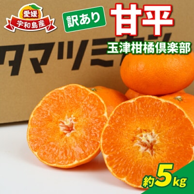 訳あり 甘平 5kg 玉津柑橘倶楽部 B015-072027