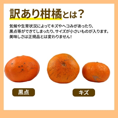 訳あり 甘平 5kg 玉津柑橘倶楽部 B015-072027