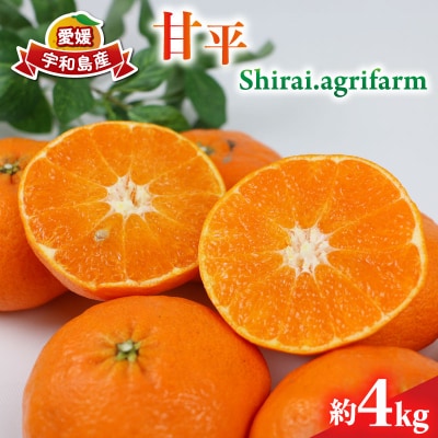 甘平 4kg Shirai.agrifarm B020-115005