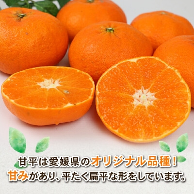 甘平 4kg Shirai.agrifarm B020-115005
