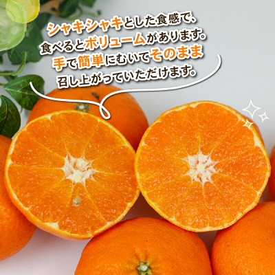 甘平 4kg Shirai.agrifarm B020-115005
