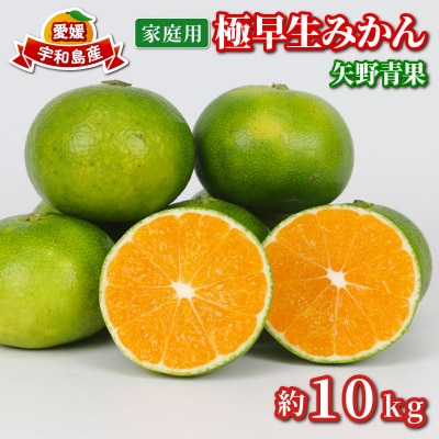 家庭用 極早生みかん 10kg 矢野青果 B024-171024