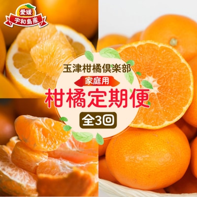 柑橘 3回定期便 玉津柑橘倶楽部 B030-072048