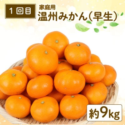 柑橘 3回定期便 玉津柑橘倶楽部 B030-072048