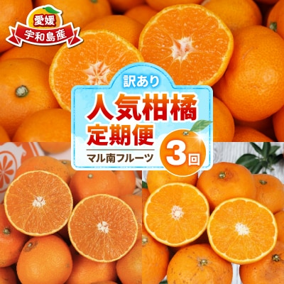 訳あり 人気柑橘 3回定期便 マル南フルーツ B030-106045
