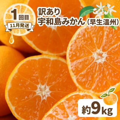 訳あり 人気柑橘 3回定期便 マル南フルーツ B030-106045