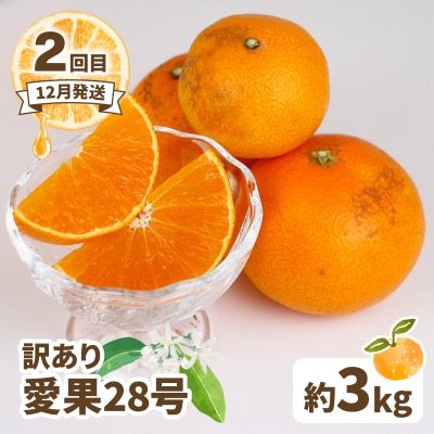 訳あり 人気柑橘 3回定期便 マル南フルーツ B030-106045