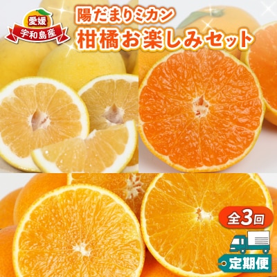 定期便3回(早生みかん・愛果28号・河内晩柑お楽しみセット) 陽だまりミカン B045-050005