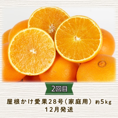 定期便3回(早生みかん・愛果28号・河内晩柑お楽しみセット) 陽だまりミカン B045-050005