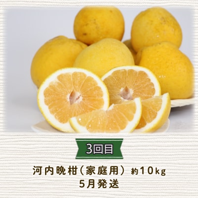 定期便3回(早生みかん・愛果28号・河内晩柑お楽しみセット) 陽だまりミカン B045-050005