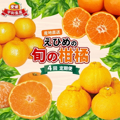 えひめの旬の柑橘 産地直送 4回定期便 えひめ南農業協同組合 B080-009011