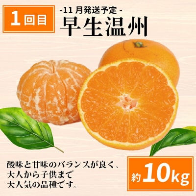 えひめの旬の柑橘 産地直送 4回定期便 えひめ南農業協同組合 B080-009011