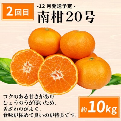 えひめの旬の柑橘 産地直送 4回定期便 えひめ南農業協同組合 B080-009011