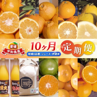 10ヶ月定期便(柑橘8品種・ジュース・伊達米) ワールドファーマーズ B100-024014