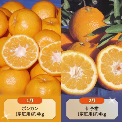 10ヶ月定期便(柑橘8品種・ジュース・伊達米) ワールドファーマーズ B100-024014