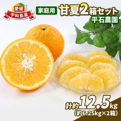 甘夏 6.25kg 2箱セット 平石農園 B010-017004