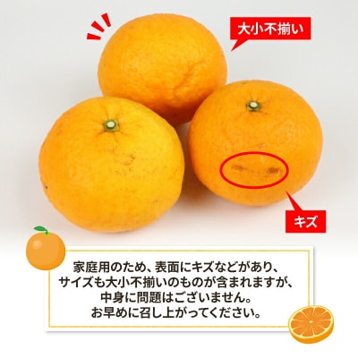 甘夏 6.25kg 2箱セット 平石農園 B010-017004