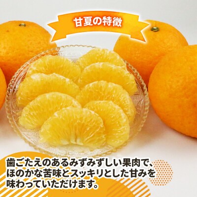甘夏 6.25kg 2箱セット 平石農園 B010-017004