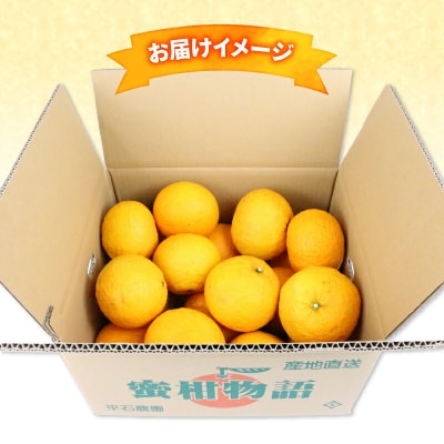 甘夏 6.25kg 2箱セット 平石農園 B010-017004