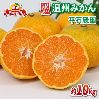訳あり 温州みかん10kg 平石農園 B010-017009