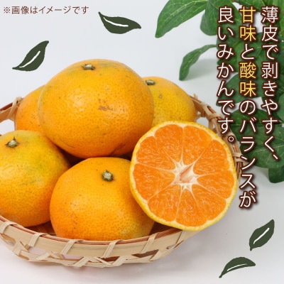 訳あり 温州みかん10kg 平石農園 B010-017009