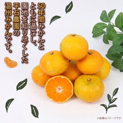 訳あり 温州みかん10kg 平石農園 B010-017009