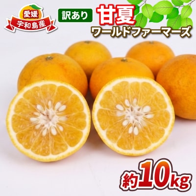 訳あり 甘夏 10kg ワールドファーマーズ B010-024025