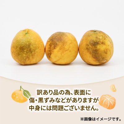 訳あり 甘夏 10kg ワールドファーマーズ B010-024025