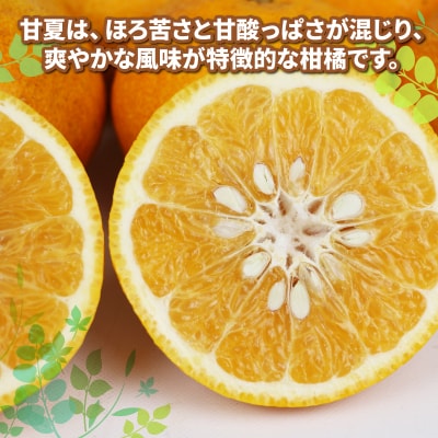 訳あり 甘夏 10kg ワールドファーマーズ B010-024025