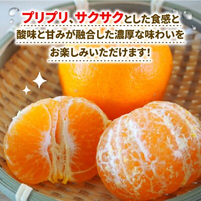 ぽんかん 5kg ワールドファーマーズ B010-024031