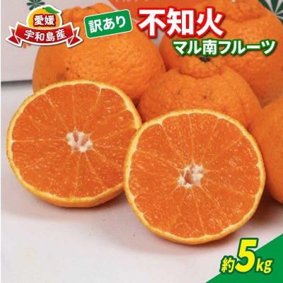 訳あり 不知火 5kg マル南フルーツ B010-106022