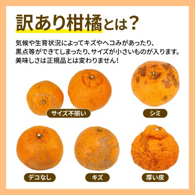 訳あり 不知火 5kg マル南フルーツ B010-106022