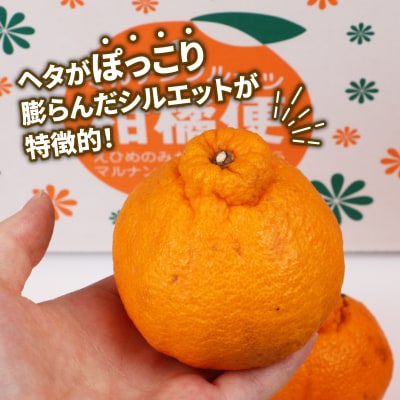 訳あり 不知火 5kg マル南フルーツ B010-106022