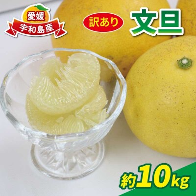 訳あり 文旦 10kg マル南フルーツ B010-106038